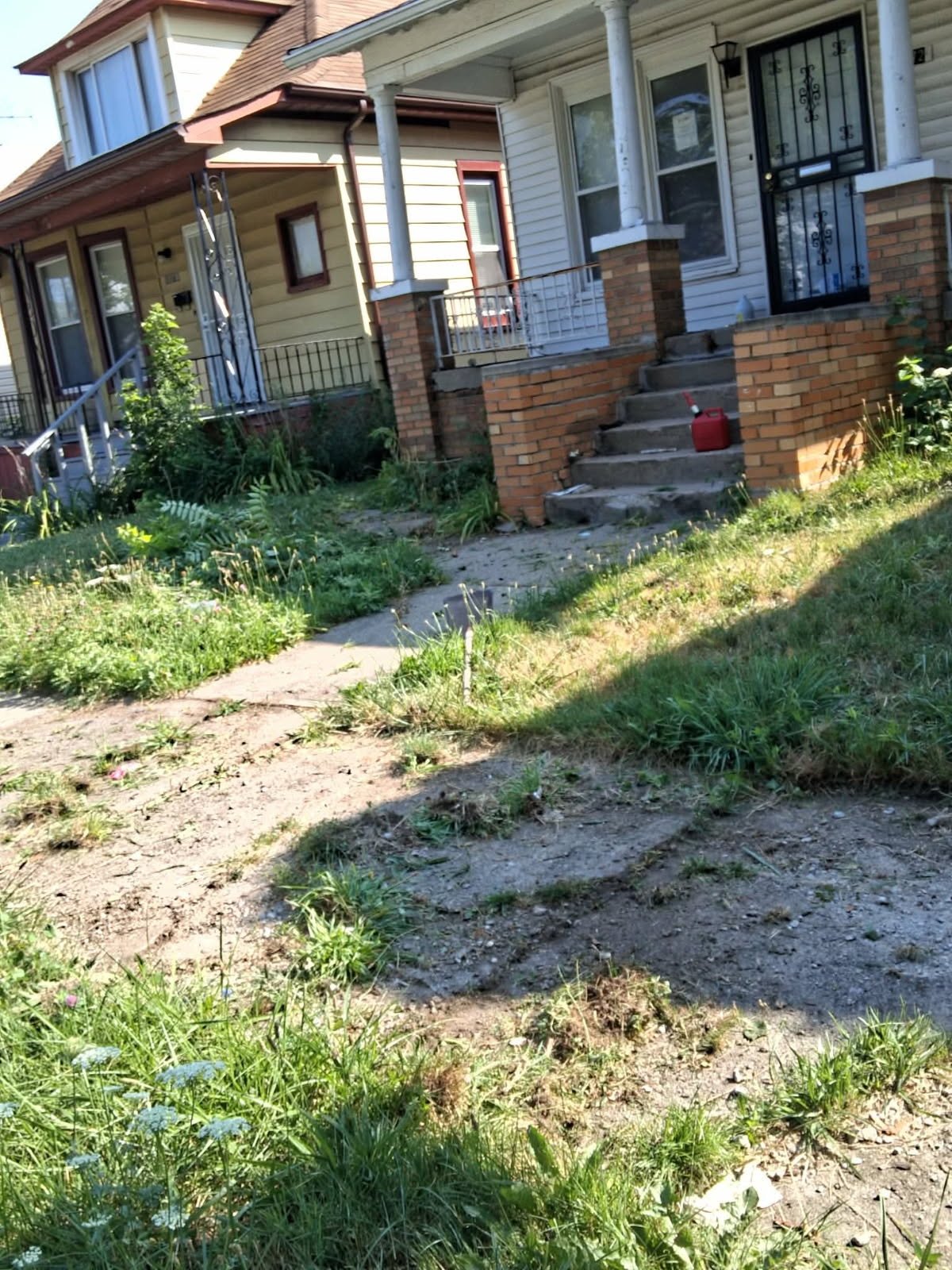 Yard before lawn care